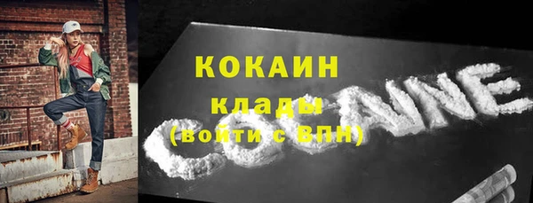 соль ск Дмитриев