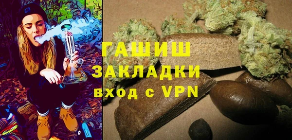 хмурый Дмитров