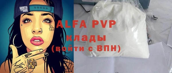 хмурый Дмитров