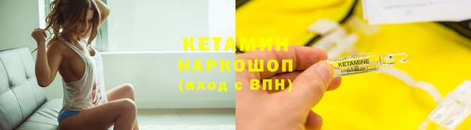 соль ск Дмитриев