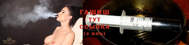 соль ск Дмитриев