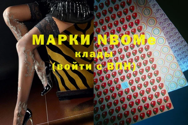 соль ск Дмитриев