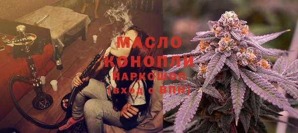 соль ск Дмитриев