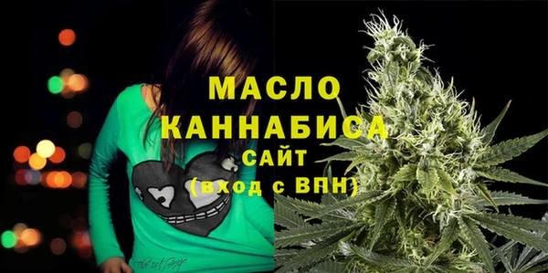 хмурый Дмитров