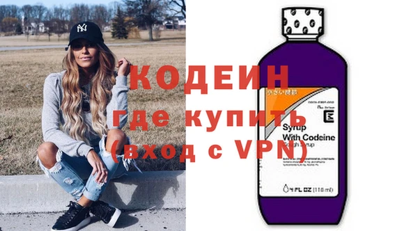 соль ск Дмитриев