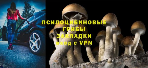хмурый Дмитров