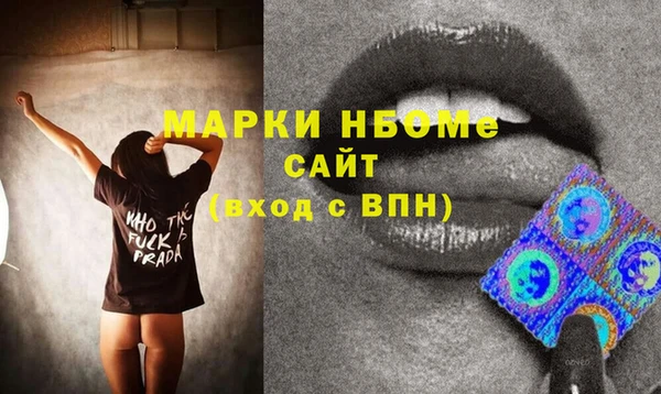 соль ск Дмитриев
