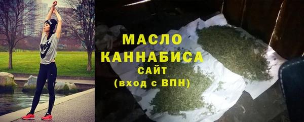хмурый Дмитров