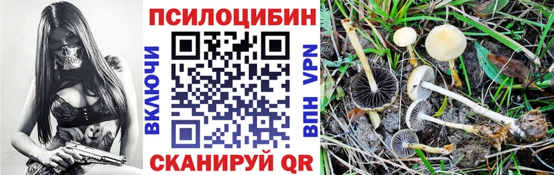 Псилоцибиновые грибы GOLDEN TEACHER Исилькуль